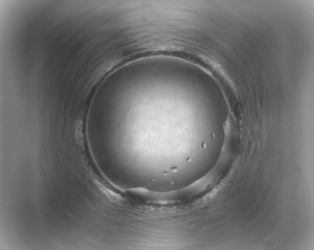 X0000071810881200607072114