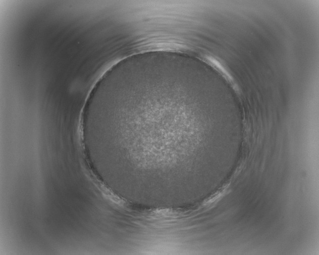 X0000071810883200607072114