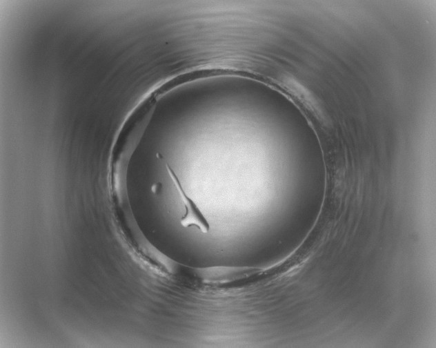 X0000071810884200607072114