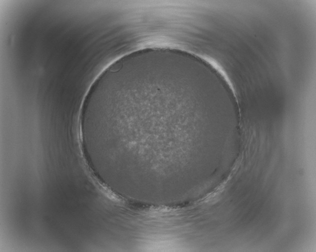 X0000071810887200607072114