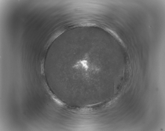 X0000071810889200607072114