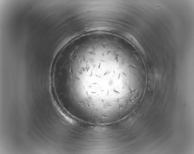 X0000071810890200607072114