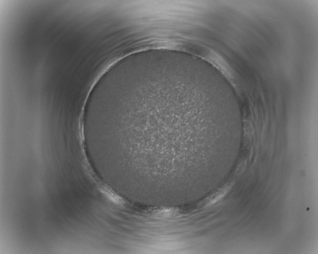 X0000071810891200607072114