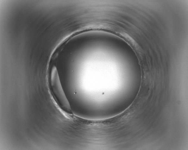 X0000071810894200607072114