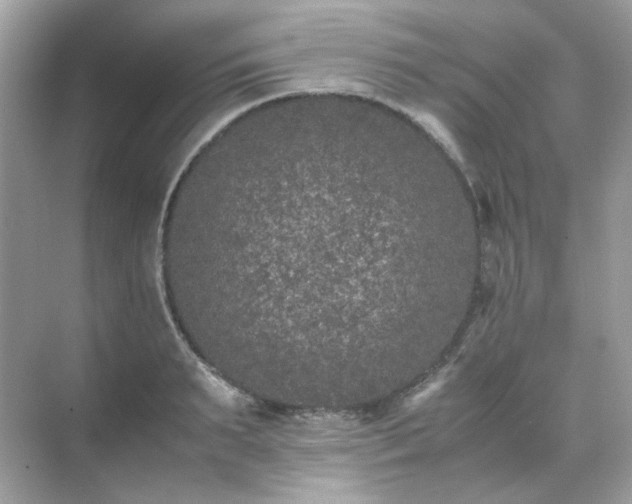 X0000071810895200607072114