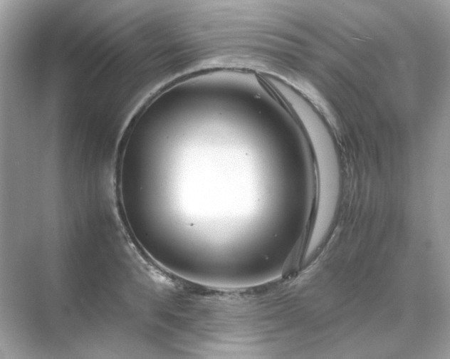 X0000071810896200607072114