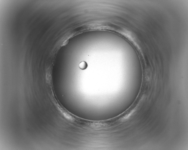 X0000071810897200607072114