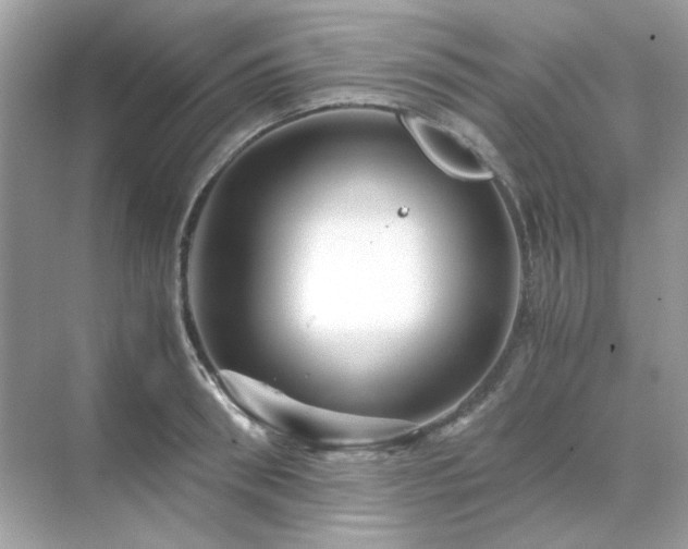 X0000071810898200607072114