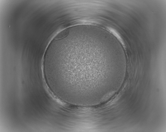 X0000071810899200607072114