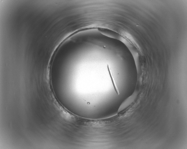 X0000071810900200607072114