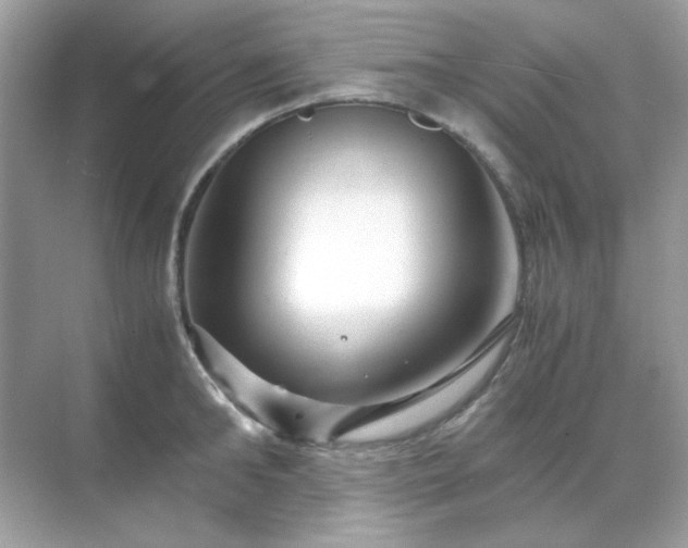 X0000071810902200607072114