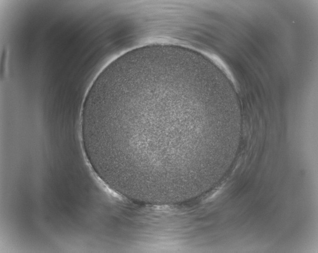 X0000071810903200607072114