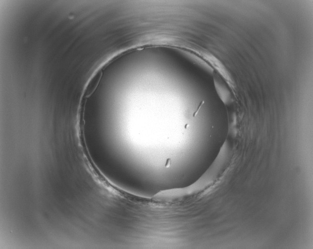 X0000071810904200607072114