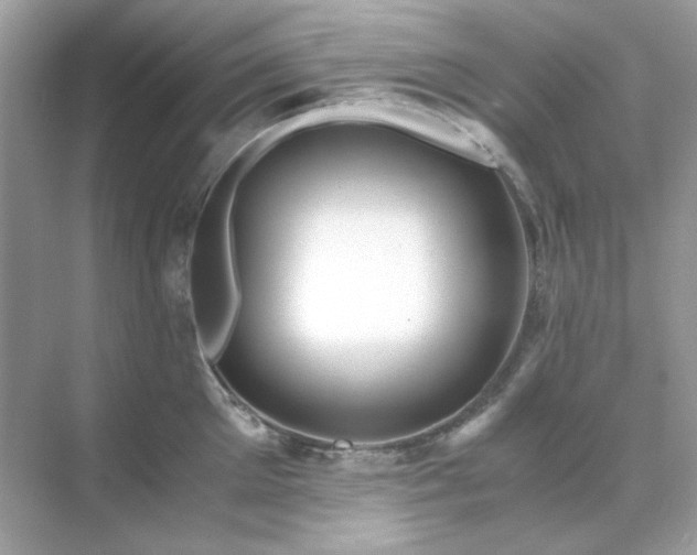 X0000071810905200607072114