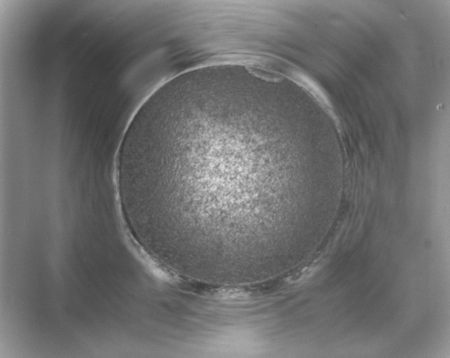 X0000071810907200607072114