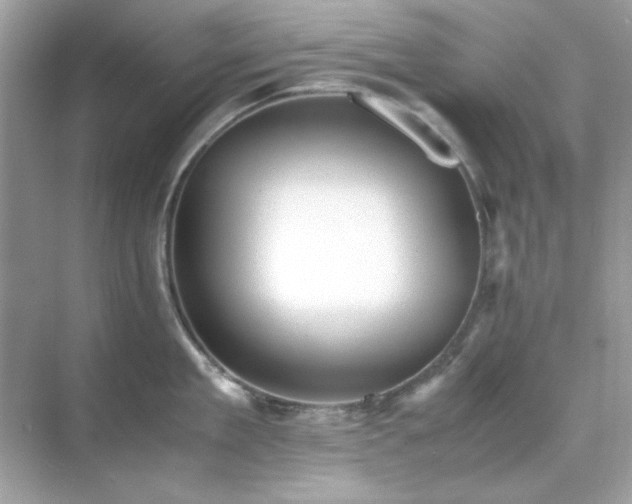 X0000071810909200607072114