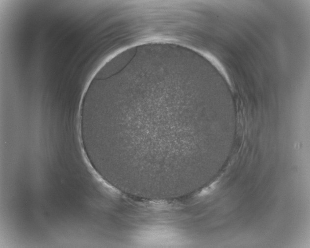 X0000071810911200607072114