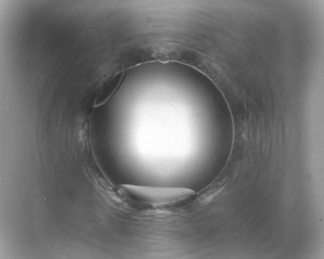 X0000071810914200607072113