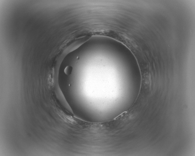 X0000071810916200607072113