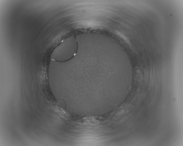 X0000071810918200607072113