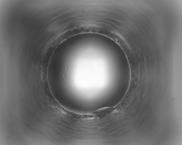 X0000071810919200607072113