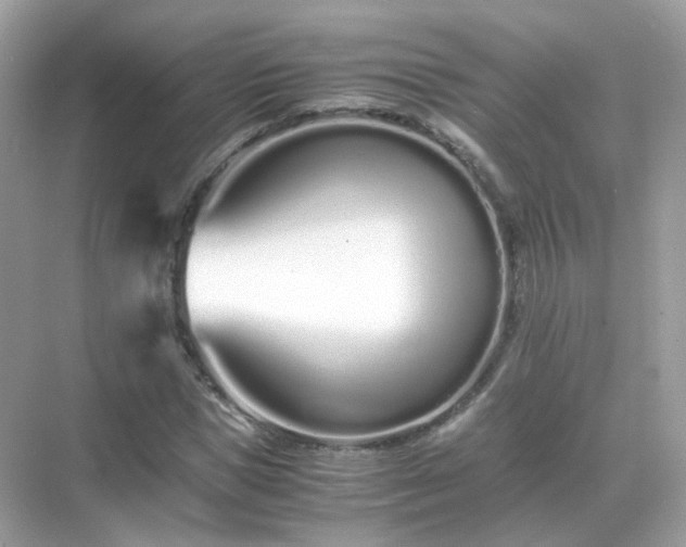 X0000071810921200607072113