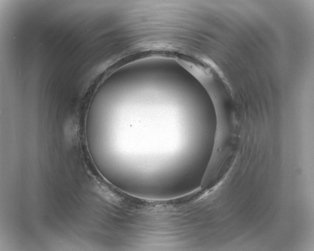 X0000071810922200607072113