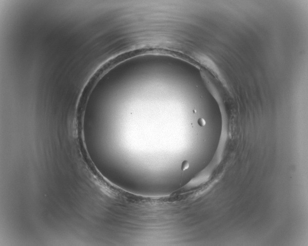 X0000071810924200607072113