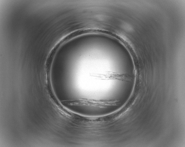 X0000071810925200607072113