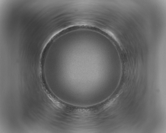 X0000071810927200607072113