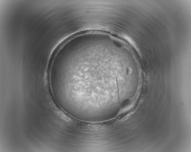 X0000071810928200607072113