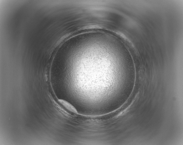 X0000071810929200607072113