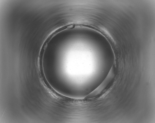 X0000071810932200607072113