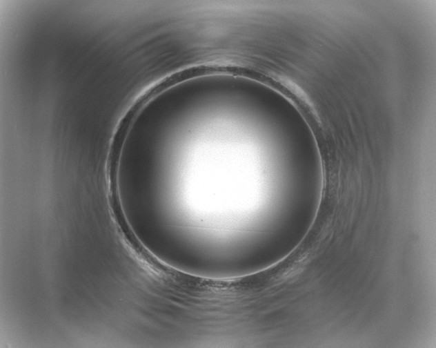 X0000071810935200607072114