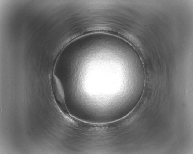 X0000071810937200607072114