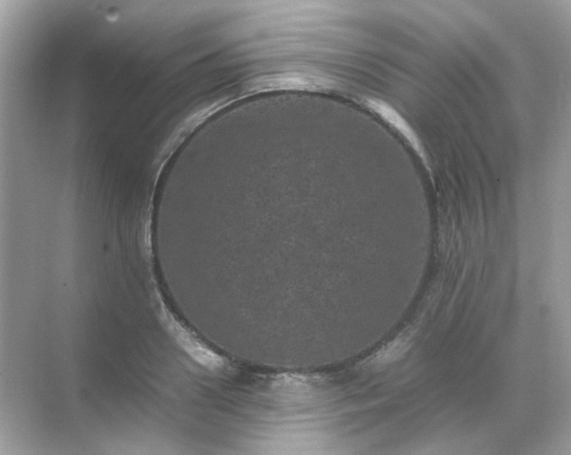 X0000071810938200607072114