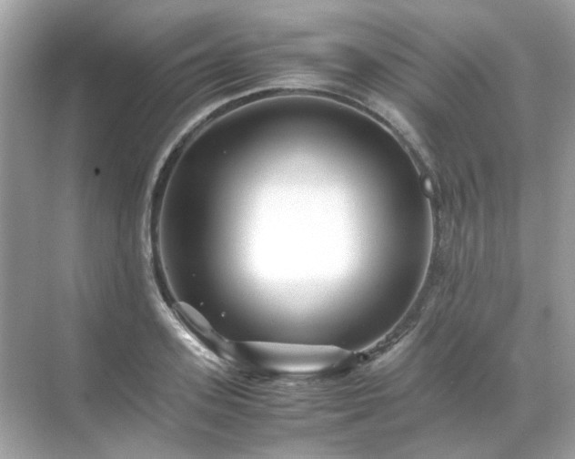 X0000071810939200607072114