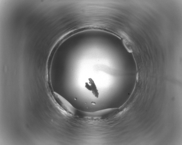 X0000071810940200607072114