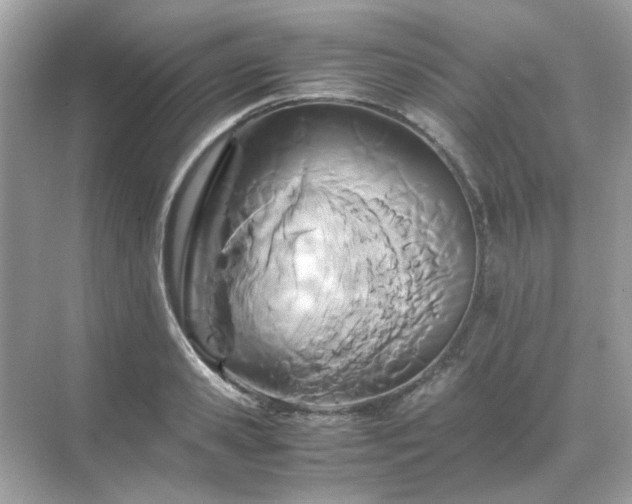 X0000071810941200607072114