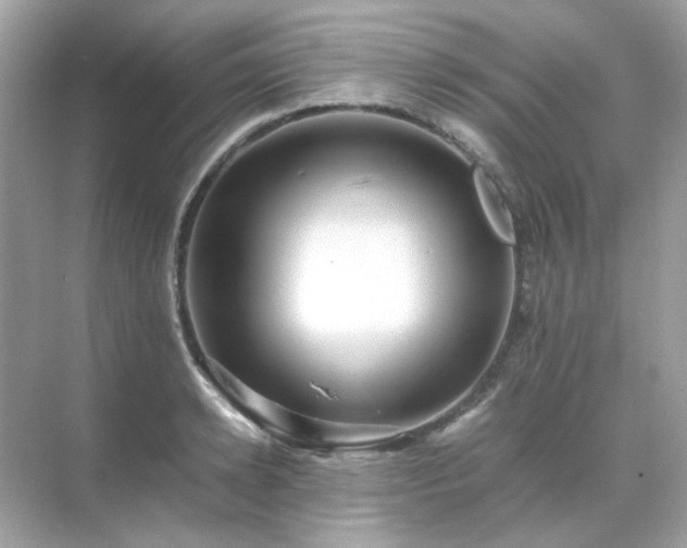 X0000071810942200607072114