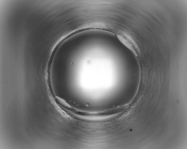 X0000071810944200607072114