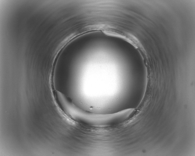 X0000071810946200607072114