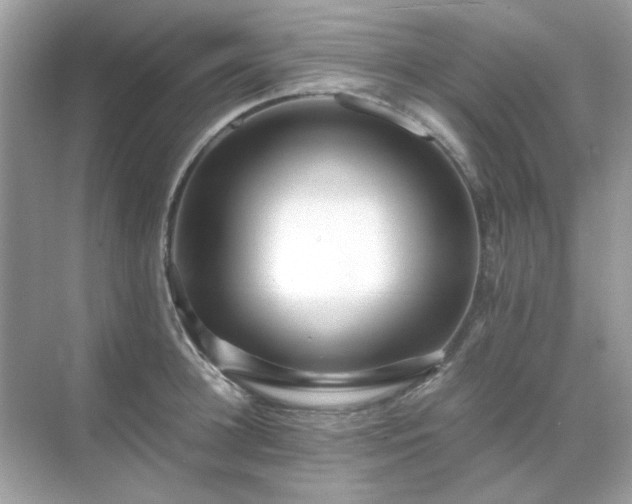 X0000071810948200607072114