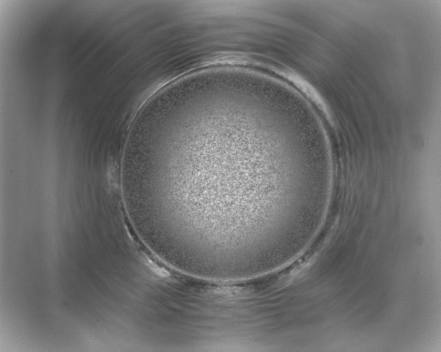 X0000071810953200607072114