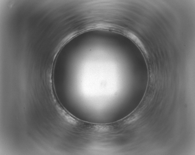 X0000071810954200607072114