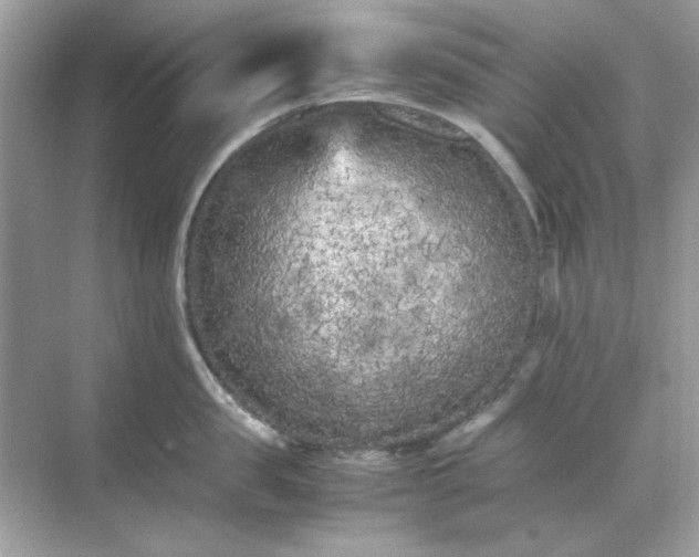 X0000071810957200607072114