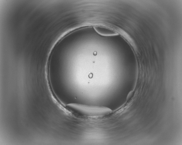 X0000071810958200607072114