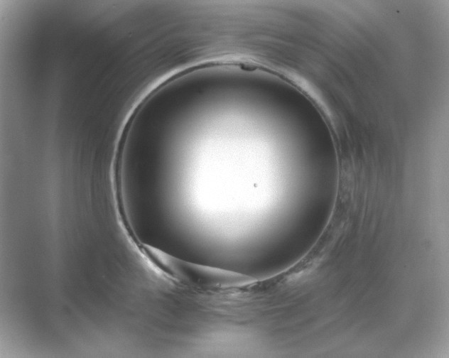 X0000071810959200607072114