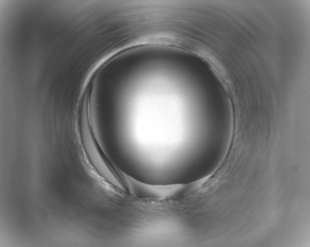 X0000071810960200607072114