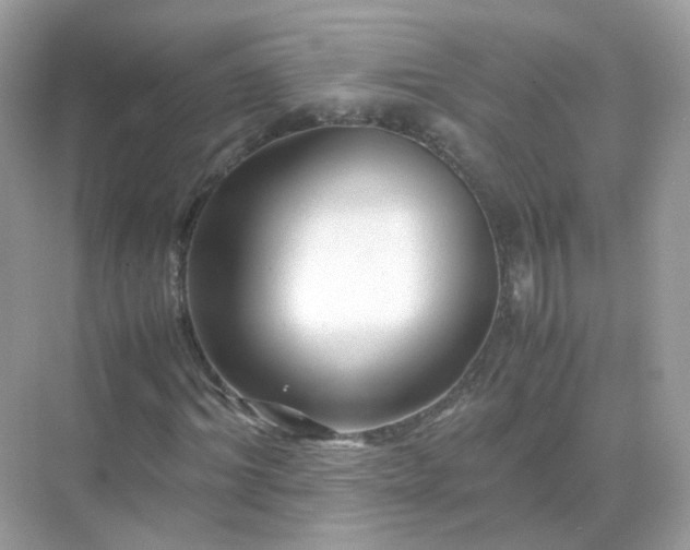 X0000071810964200607072113